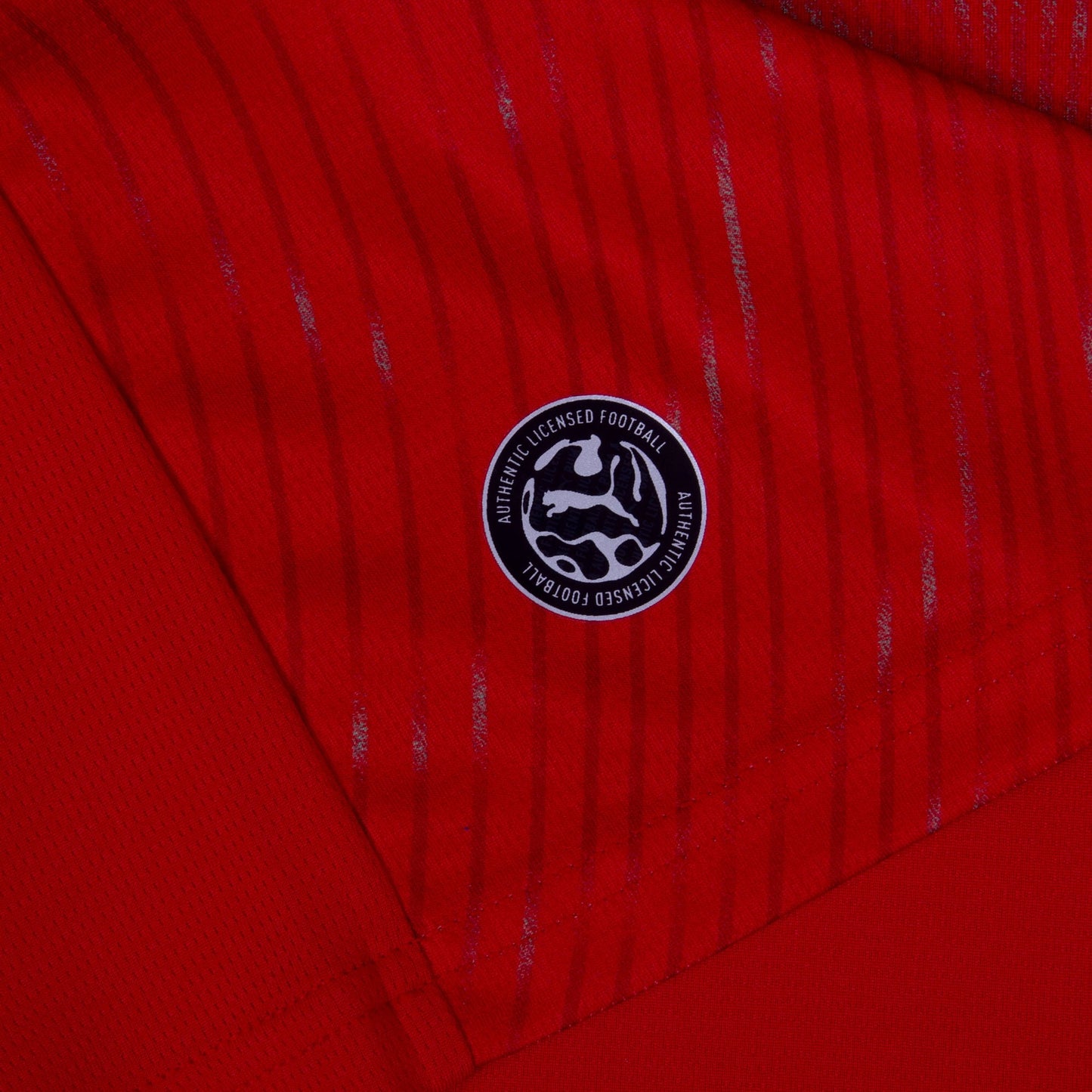 Puma Switzerland Home KIDS Shirt 2026-2027