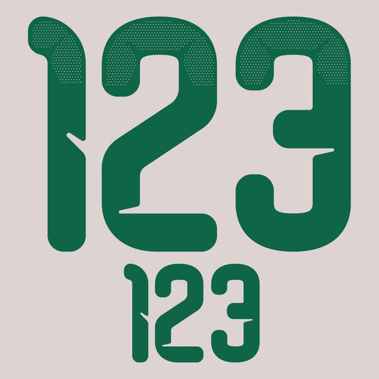 26-27 Algeria Home Adult Player Number Set (254mm/104mm)