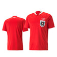 Austria FIFA World Cup Jersey - Kit Captain