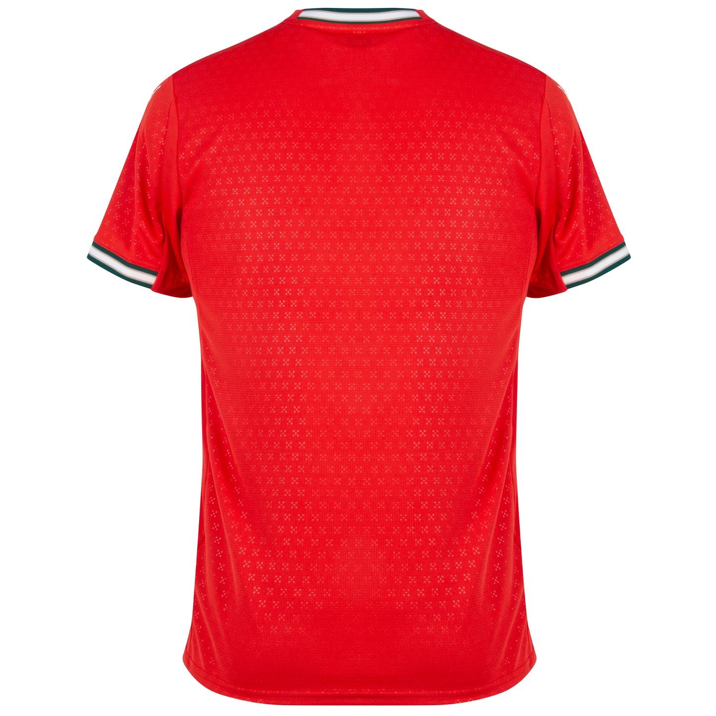 Puma Portugal Home KIDS Shirt 2025-2026