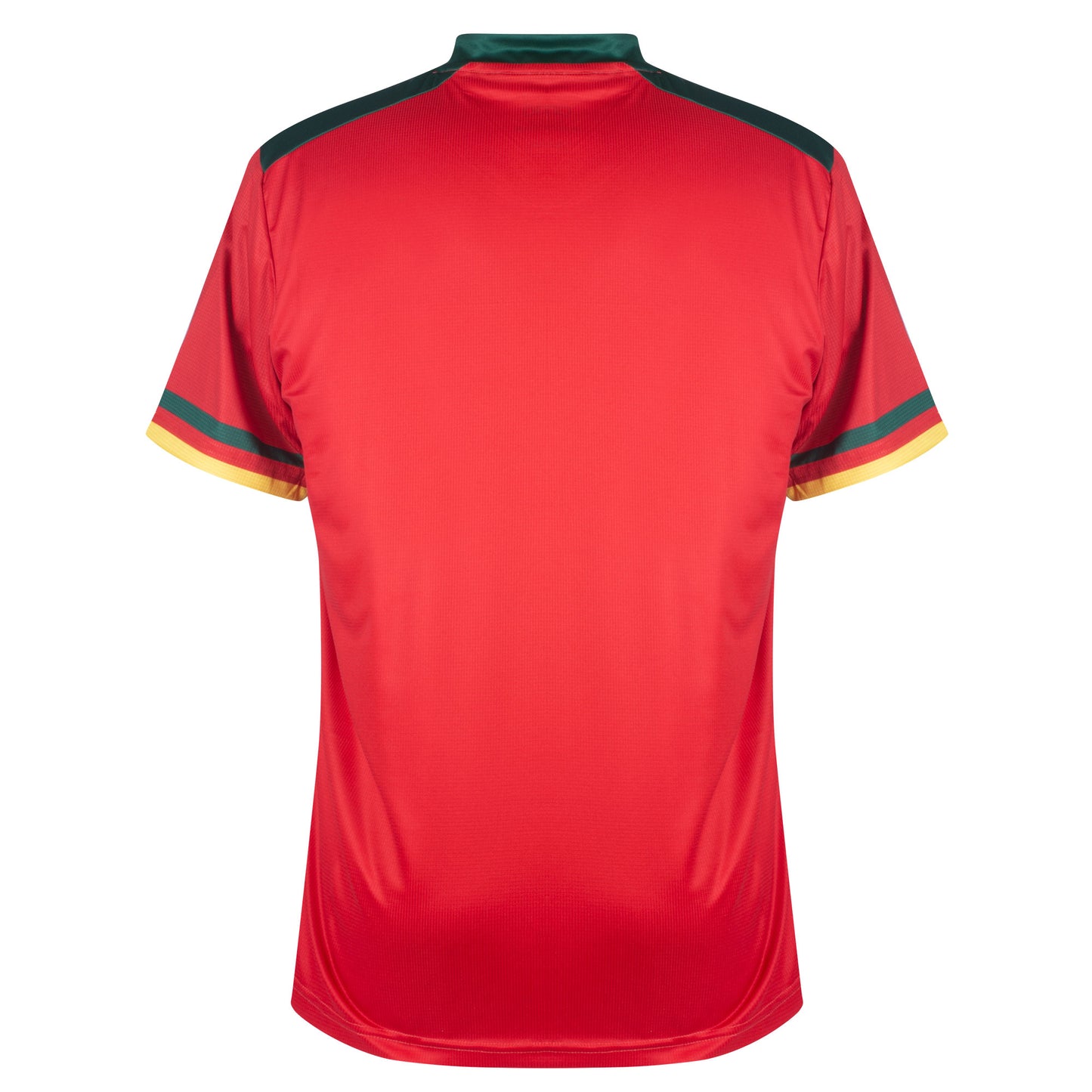 One Cameroon 3rd World Cup Pro Shirt 2022-2023